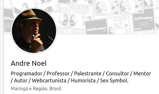 Programador / Professor / Palestrante / Consultor / Mentor / Autor / Webcartunista / Humorista / Sex Symbol.